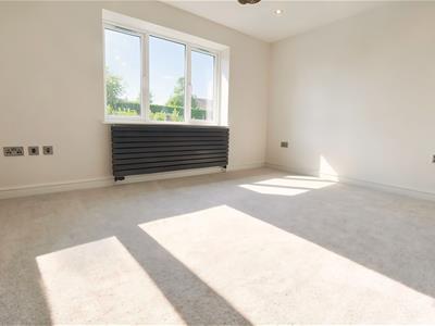 Picture 26
